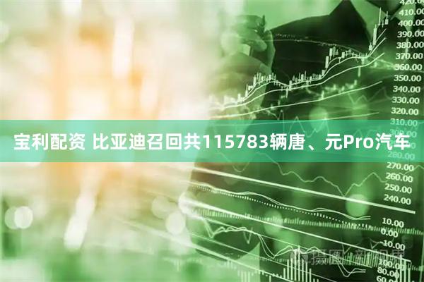 宝利配资 比亚迪召回共115783辆唐、元Pro汽车