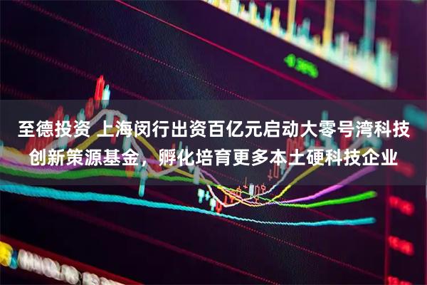 至德投资 上海闵行出资百亿元启动大零号湾科技创新策源基金，孵化培育更多本土硬科技企业