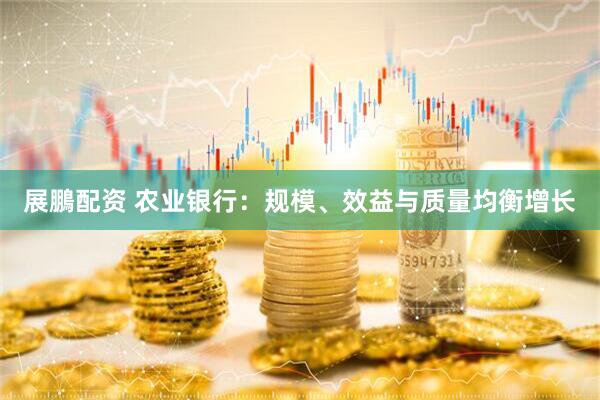 展鵬配资 农业银行：规模、效益与质量均衡增长