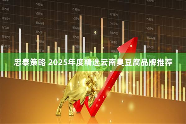 忠泰策略 2025年度精选云南臭豆腐品牌推荐