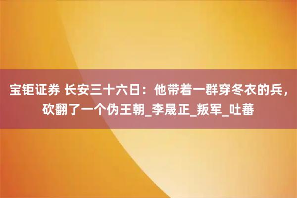 宝钜证券 长安三十六日：他带着一群穿冬衣的兵，砍翻了一个伪王朝_李晟正_叛军_吐蕃